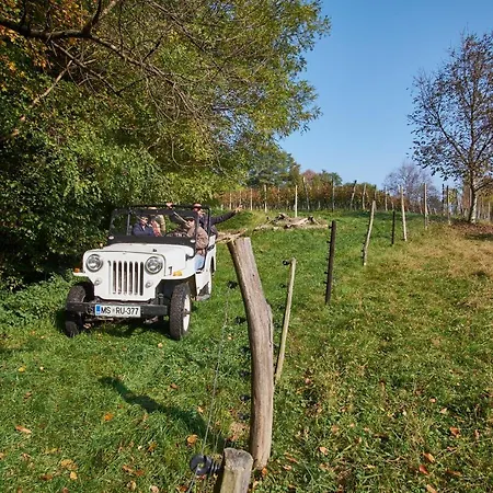 Holiday home House Podhamer Boris With Private Wellness Ljutomer