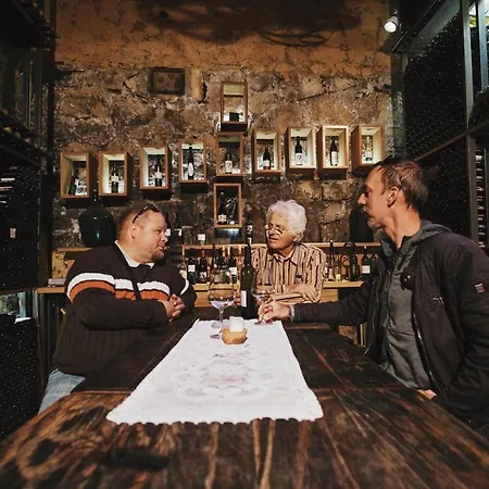 House Podhamer Boris With Private Wellness * Ljutomer