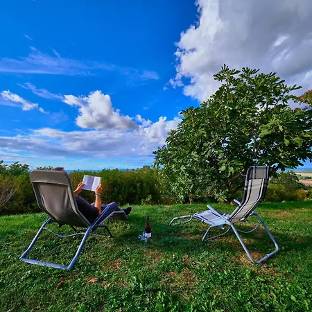 House Podhamer Boris With Private Wellness Holiday home Ljutomer