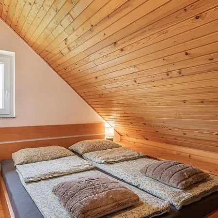 House Podhamer Boris With Private Wellness * Ljutomer