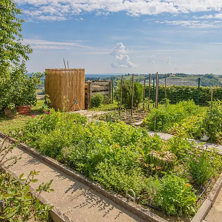 House Podhamer Boris With Private Wellness Holiday home